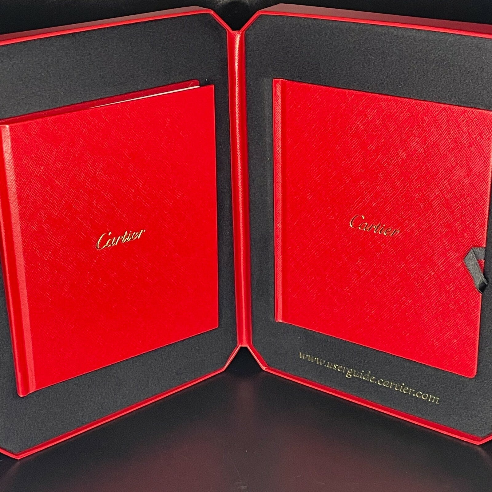 CARTIER SANTOS LARGE SKELETON ICED-OUT CASE ref: WHSA0015